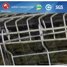 Cage à oiseaux de grande ferme pour la vente chaude
